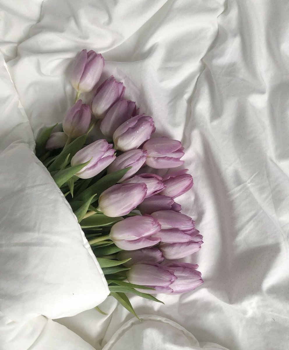 #صباحيات #صباح_الورد #صباح_الخير_والسعادة_للجميع #صباح_الخيرᅠ #يخبرني_الصباح #صباحي_أنت #صوت_المطر #صباحات_الشتاء #صباح_السعادة #مطرنا_بفضل_الله_ورحمته #بوح_الياسمين #ورديات #صباح_الجمال #صباح_الخيرᅠالسعاده_لقلوبڪم