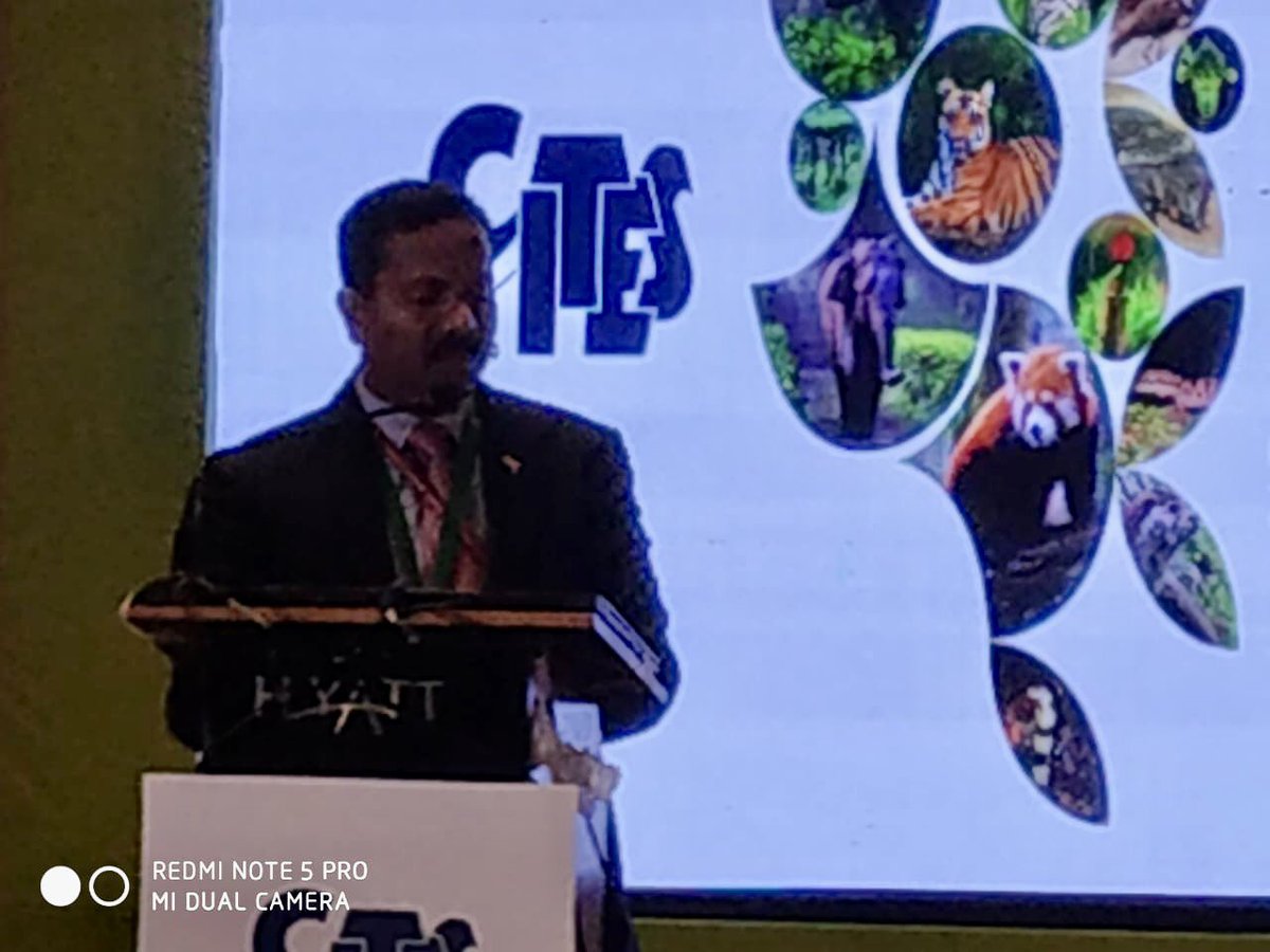 moefcc's tweet photo. The MoEFCC in collaboration with Zoological Survey of India had organized a one day CITES Capacity Building Programme in Kolkata to sensitize the States, Scientific Institutions on CITES implementation. 
The Programme highlighted the various provisions of CITES. https://t.co/P0oalFPXz8