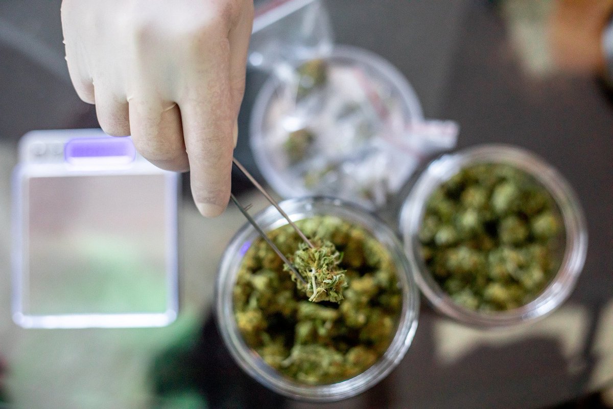 cdtfa's tweet photo. CDTFA’s cannabis industry guide has helpful information for businesses to find the latest updates to the tax program. #CDTFA #cannabis #california
https://t.co/QRuYAHyiYl https://t.co/N73LnfPVXf