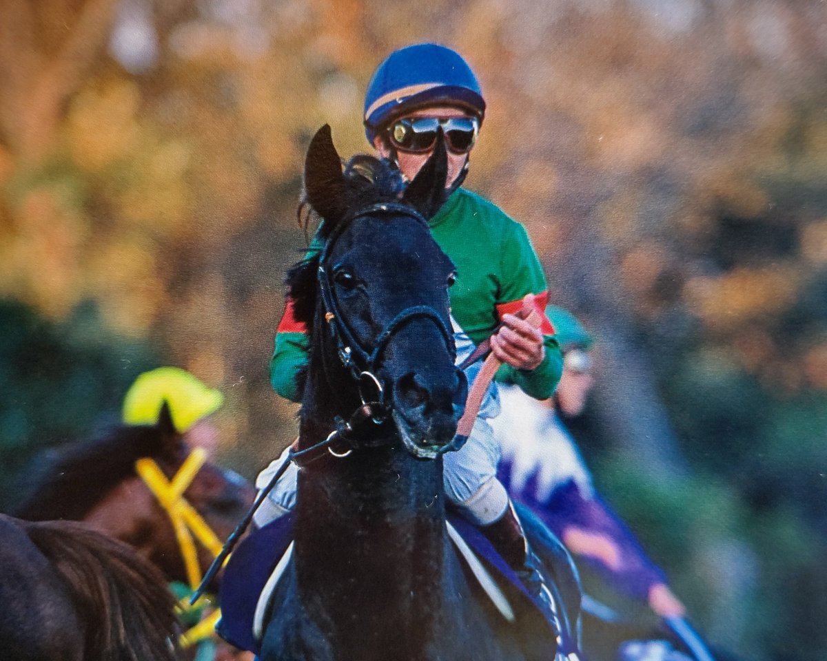 シンボリクリスエス 天皇賞(秋)と有馬記念で連覇を達成。2002年と2003