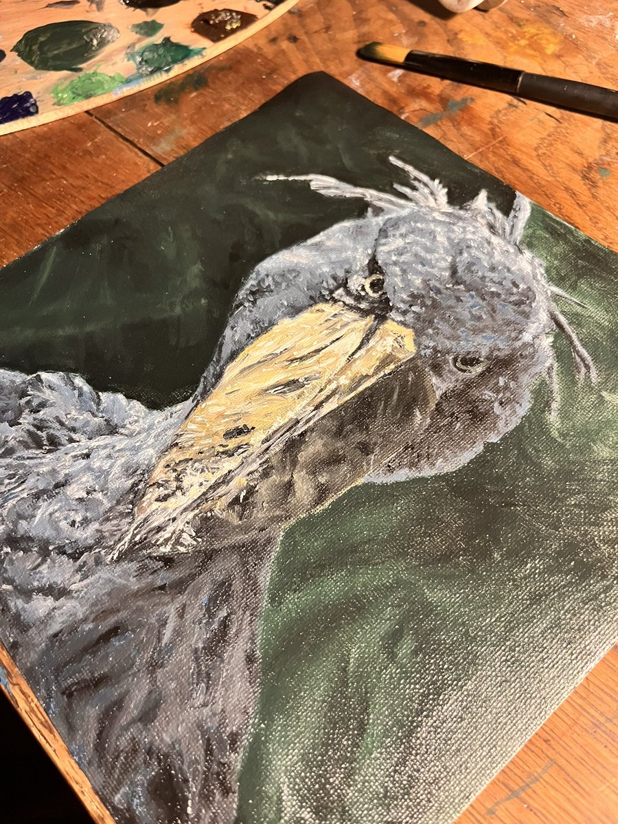 HorridFeline's tweet photo. have to work on background and final touches but looking good #painting #art #artist #artistic #artwork #artlover #arte #paint #oilpainting #oilpaint #oilpaintings #oilpaints #oilpaintingoncanvas #oilpainters #youngartist #artistsontwitter #ArtistOnTwitter https://t.co/9JuVeSv6TM