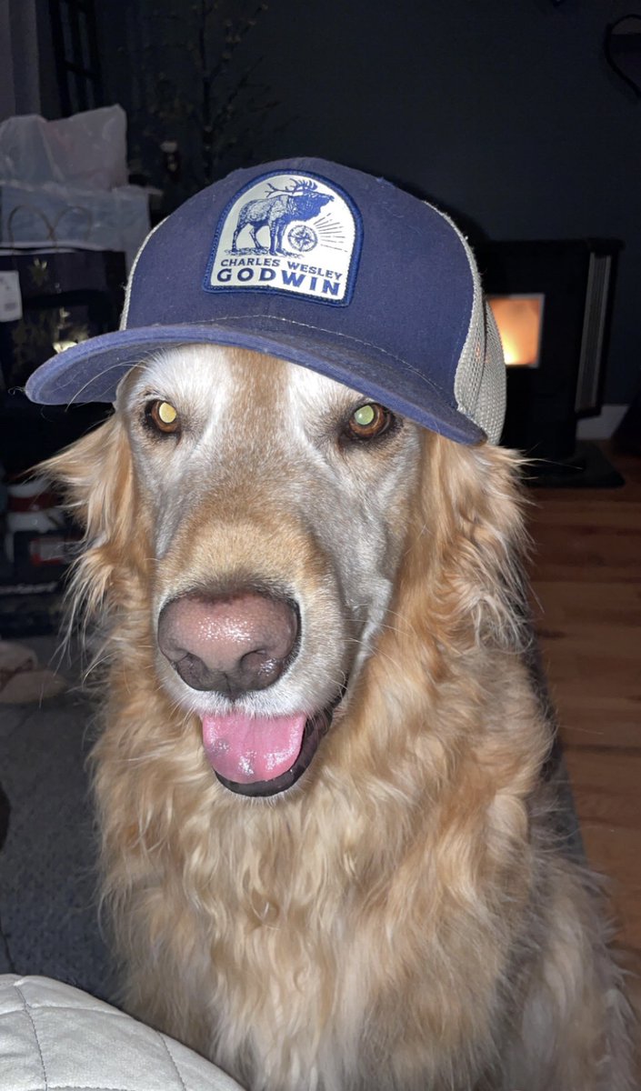 _M_K_J_'s tweet photo. @CharlesWesleyG your biggest fan is asking when the camo hat will be back in stock. He’s about wore this one out https://t.co/btvBBuxi4M