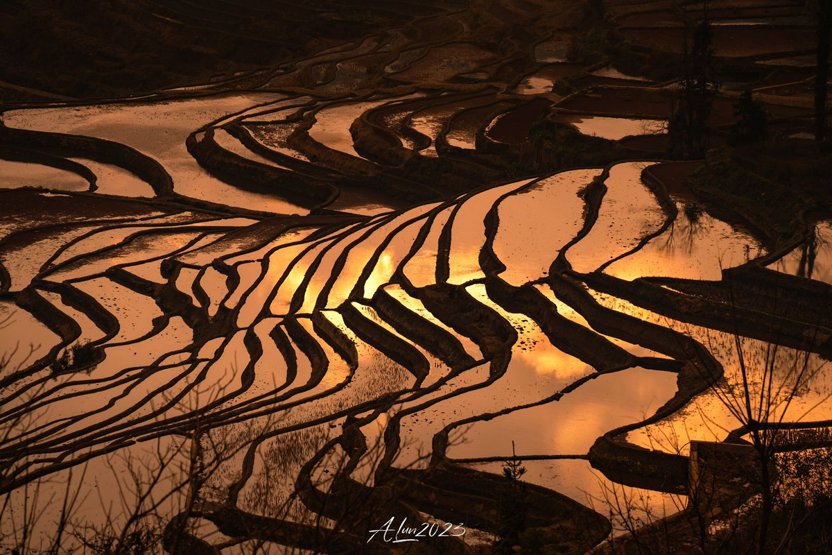 最近都在云南📸 https://t.co/YYwPxvL09A