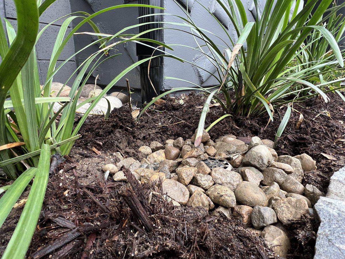 Beautiful, Healthy #Gardens DEPEND on #DRAINAGE! 💧
Learn what to STOP doing in your yard to have excellent long lasting &amp; efficient drainage in our NEW YouTube Video! 🎥 

youtu.be/dERFIWLU7fo