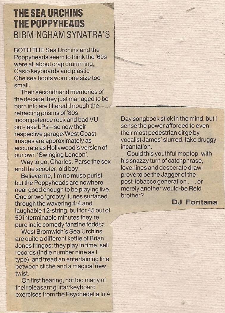 Synatras tweet media