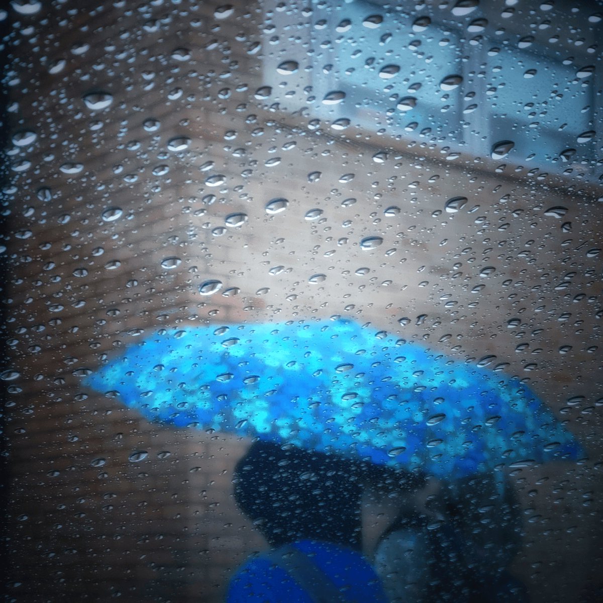 JosephO 📸 🐝🐻 👽 tweet media