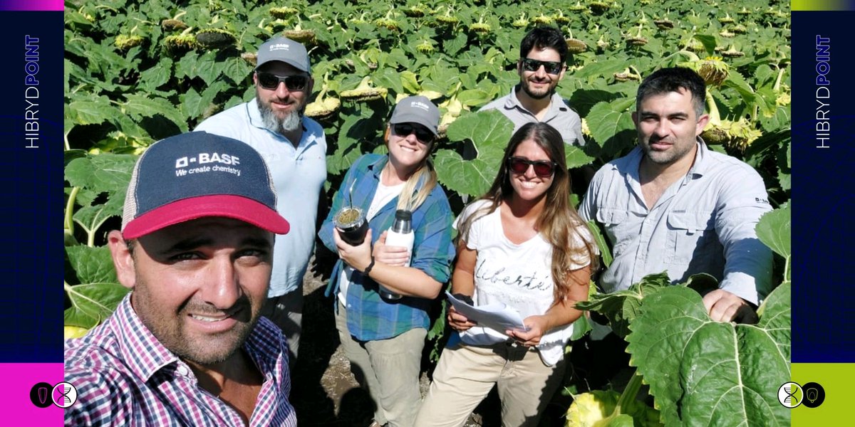 OdSagro's tweet photo. @BASF_Agro_ARG se suma al nuevo ciclo de evaluación de #RemoPoint 🌽 y #RegioPoint 🌻 en su línea Hibryd 🧬.
Así recorrimos distintas localidades del Oeste de BA donde empezamos a palpitar la info de los ensayos 😊.
#AgroDecisiones #PlanesDeSiembra #HíbridosDeMaíz https://t.co/D7ELFRr6CT