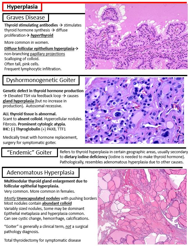 Kurt Schaberg tweet media