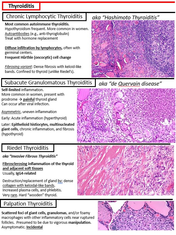 Kurt Schaberg tweet media