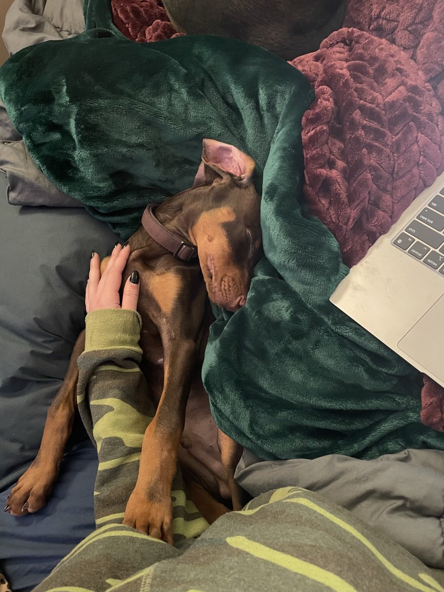 Barbarella tweet media