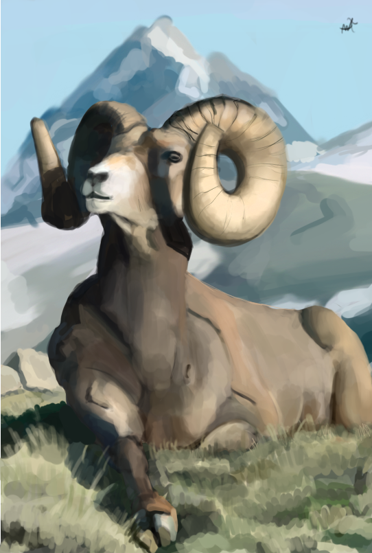 Matheus90044340's tweet photo. Study time! you like this my draw?
#conceptart #conceptartist #illustration #commissionsopen #Commission #artwork #animal #study #digitalillustration https://t.co/ONb3Tf6atn