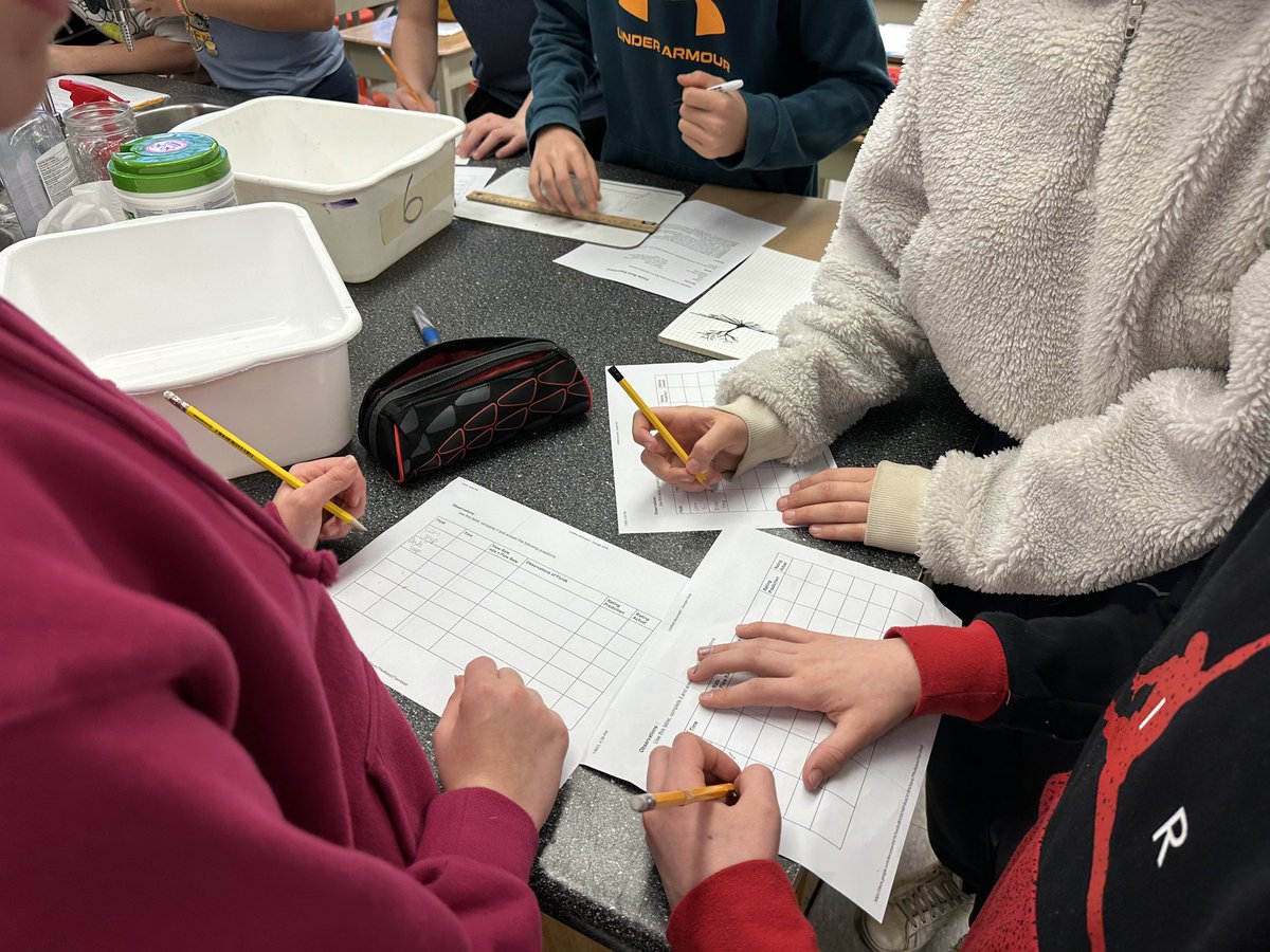 SustainableSTEM tweet media