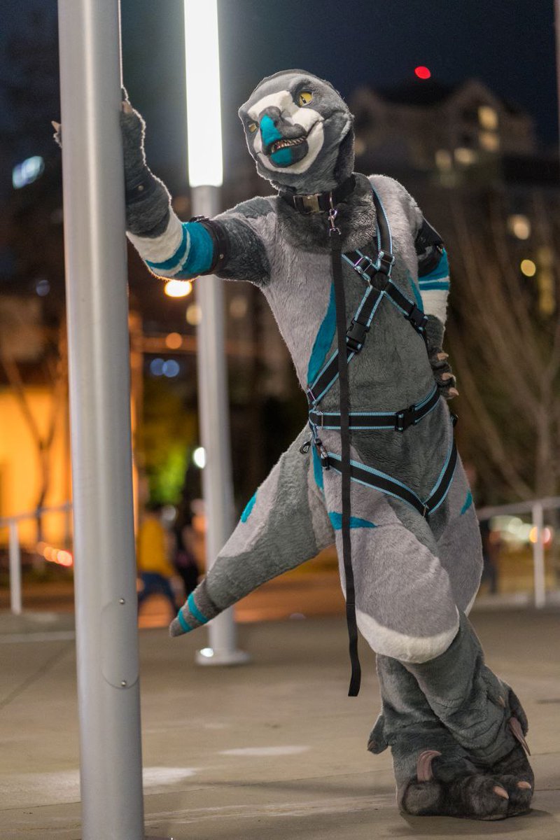 One of my fave pics from FC. Buckle up!
📷 @OneTiedDerg
#FursuitFriday #Fursuit #Dinosaur #FC2023 #FurCon2023