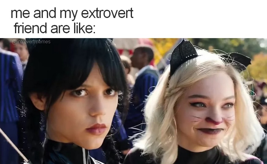 introvert tweet media