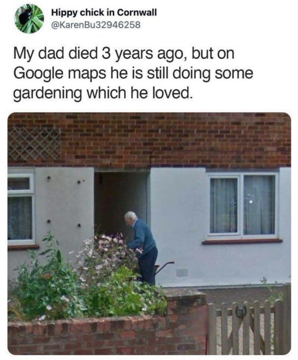 WholesomeMeme's tweet photo. https://t.co/w7D1y3ouaV