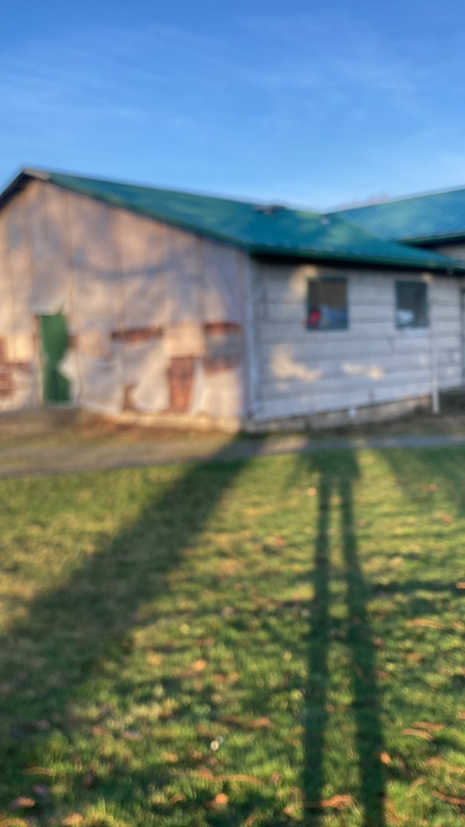 sunmonkey9's tweet image. #monkeyshines2023