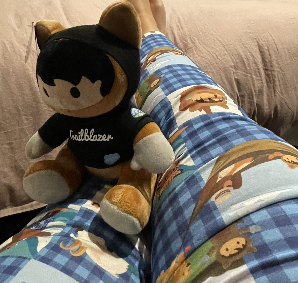 Quite possibly the cutest PJ pants ever thanks <a href="/salesforceapac/">Salesforce APAC</a>