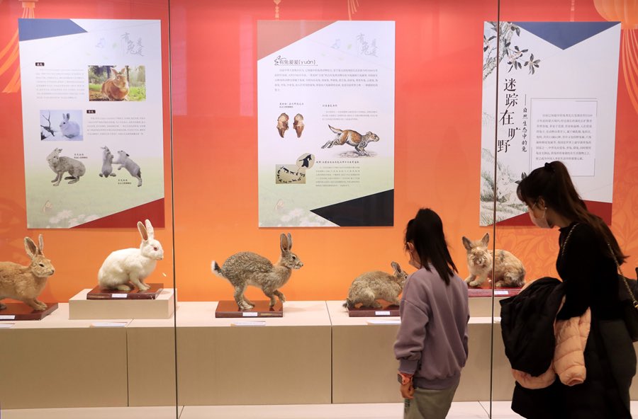 JiangsuYouth's tweet photo. An exhibition of rabbit-themed relics is held in Changzhou #Museum, #Jiangsu. The exhibition showcases clay sculptures and other creations that all feature the animal, helping the public understand the #culture associated with the Year of the Rabbit. #ChineseNewYear #HiRabbit https://t.co/Besnqxb2Hc