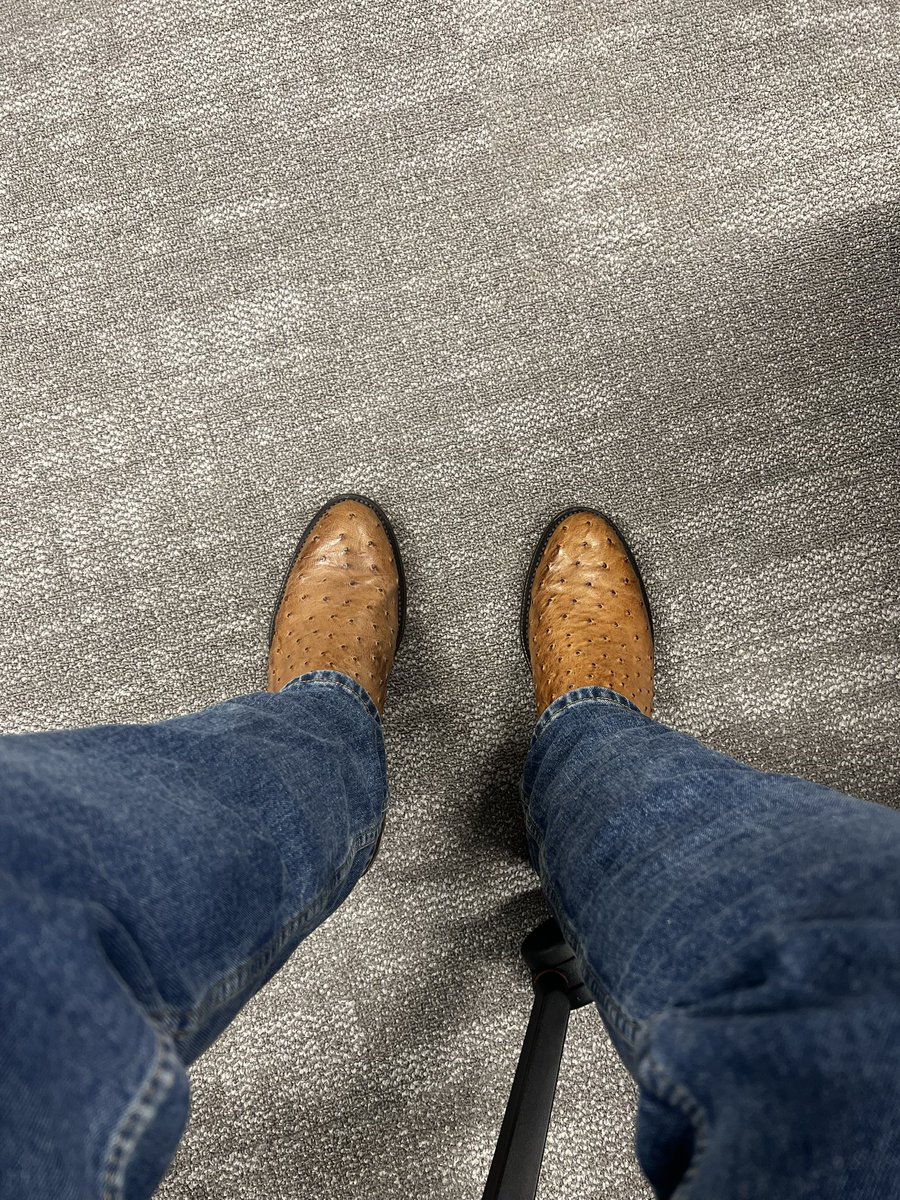 tristan niedermeier tweet media