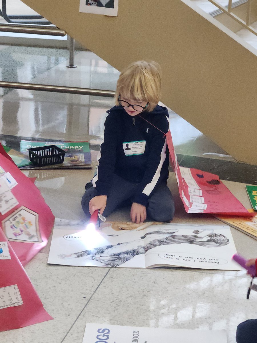 LauraCano79's tweet photo. Celebrating the end of our Super Readers Unit with some awesome capes and using our new powers in different stations @LizGoodman1 @TCRWP https://t.co/AW6JJaUq9N