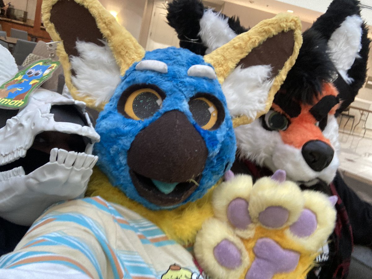 BlemonTheBirb's tweet photo. Happy #FursuitFriday!! 💙💛💜 https://t.co/itGfZr0dWY