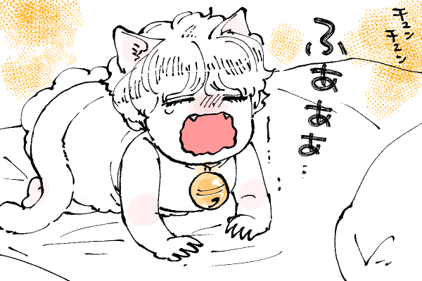 🐱キラキラにゃんこ生活
さすがに寝落ちした土佐山田くん💤 