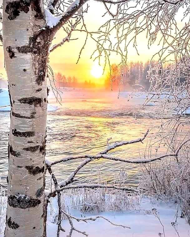 mooloo on Twitter: "Cold 🥶🥶🥶🥶"