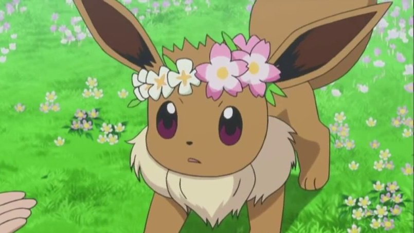 Eevee_Community's tweet photo. Eevee 🌸 https://t.co/tikiA16Zzy