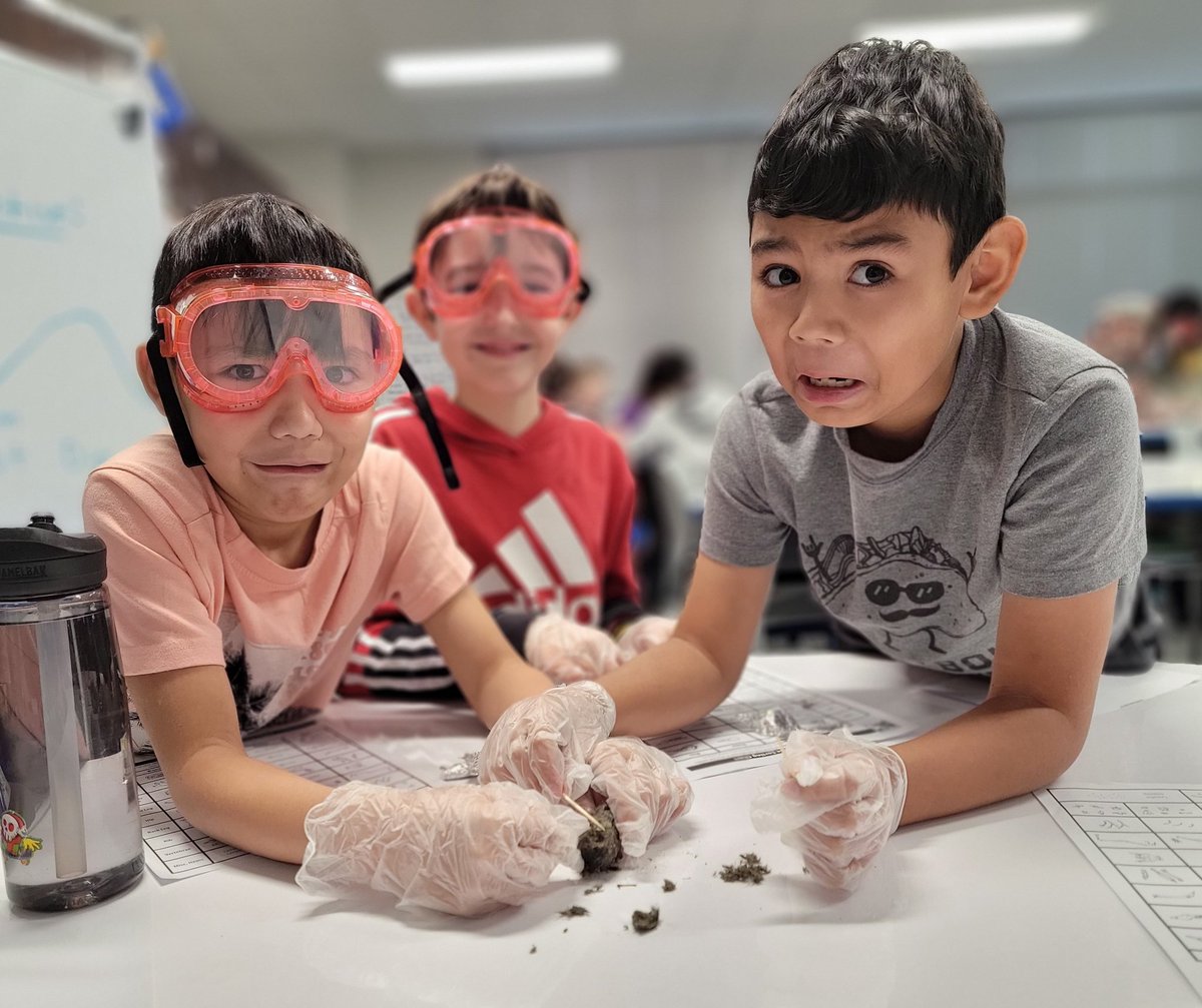 Steph_Morganie's tweet image. Don&apos;t let these feigned, fretful faces fool you! They LOVED the shared experience of dissecting the owl pellets to create poetry FULL of #imagery #figurativelanguage and #sounddevices What a wonderfully fun day @HumbleISD_CE