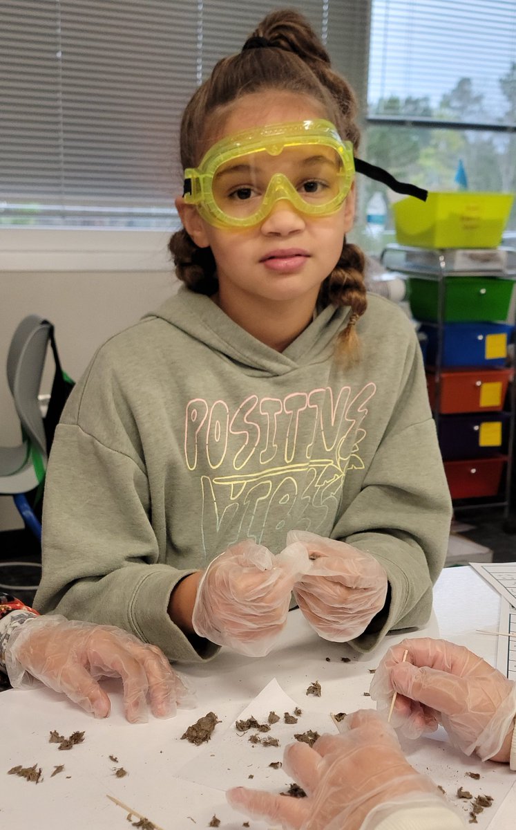 Steph_Morganie's tweet image. Don&apos;t let these feigned, fretful faces fool you! They LOVED the shared experience of dissecting the owl pellets to create poetry FULL of #imagery #figurativelanguage and #sounddevices What a wonderfully fun day @HumbleISD_CE