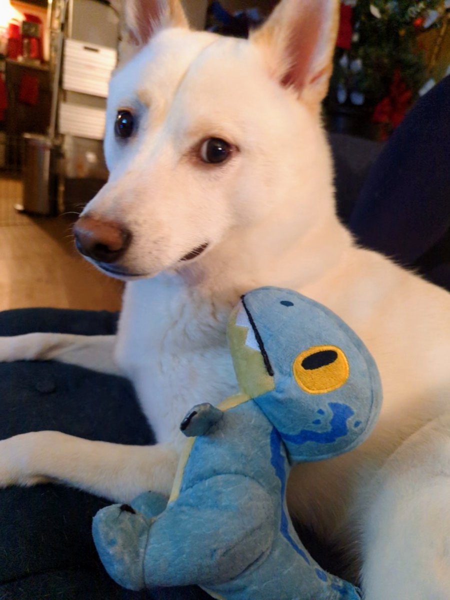 CDmon7's tweet image. Dino boy 🦖
#goodboyfriday 
#shibainu 
#shibalove 
#shibastagram 
#dogsofinstagram 
#dogsoftwitter 
#dogs 
#puppy