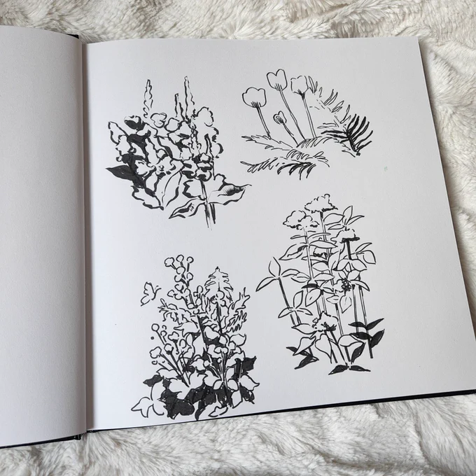 This year I will learn to ink really well ☺️ 