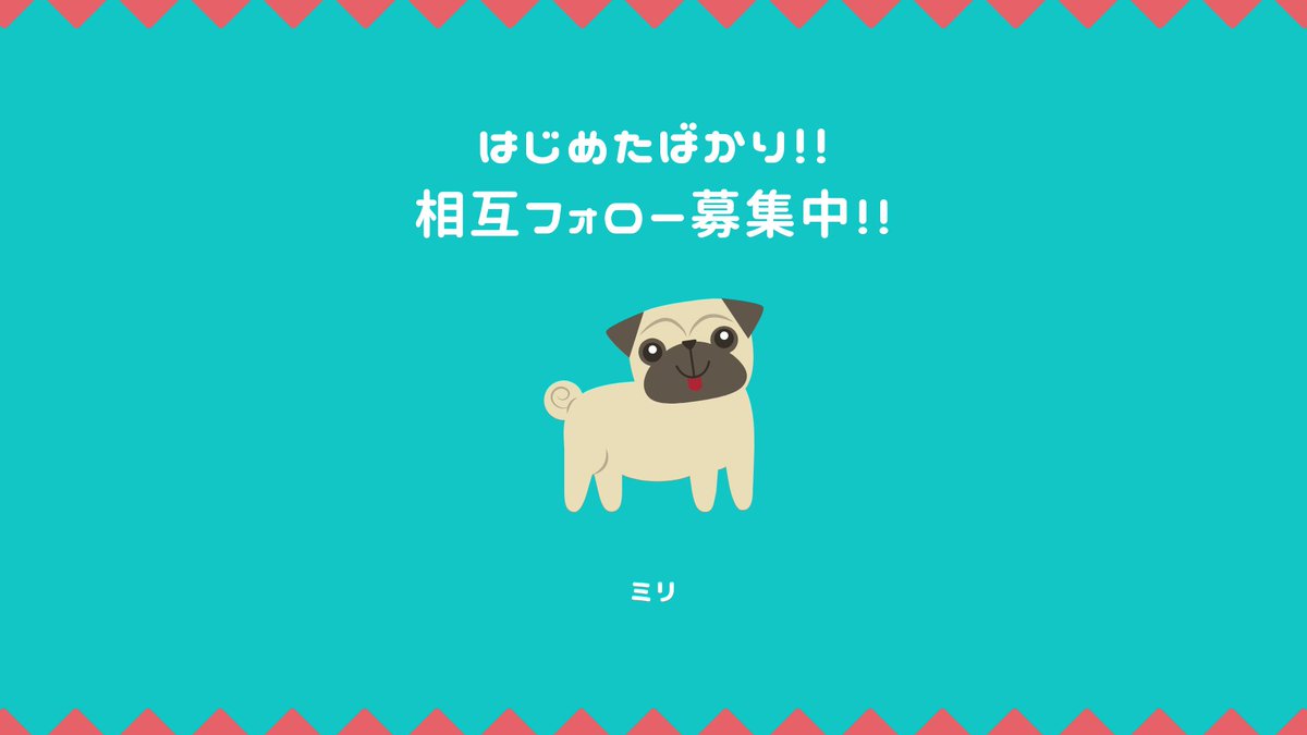 最強寒波寒くなってきました☃️
はじめたばかり🙇‍♀
相互フォロー様募集中★
よろしくおねがいします🙇‍♀

\✖怪しい垢以外/
#フォロバ 
#相互フォロー 
#相互希望 
#土日はフォロワーさんが増える 
#TwitFi