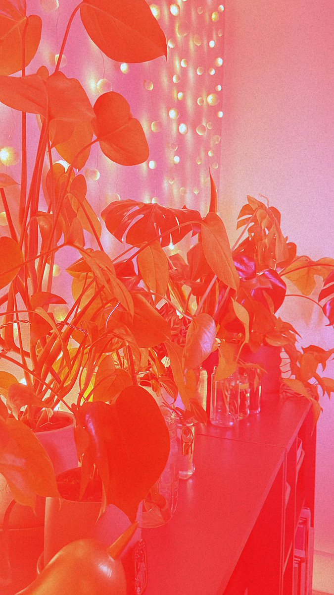 sarahhurtgen's tweet photo. @rehatttt the pronounced grain effect is soothing my soul 🌾 https://t.co/7QAmkF4Dxg