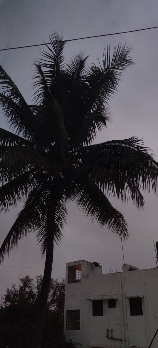 ishusingh99's tweet image. 0620 - January, is the time when you feel, ALIVE.