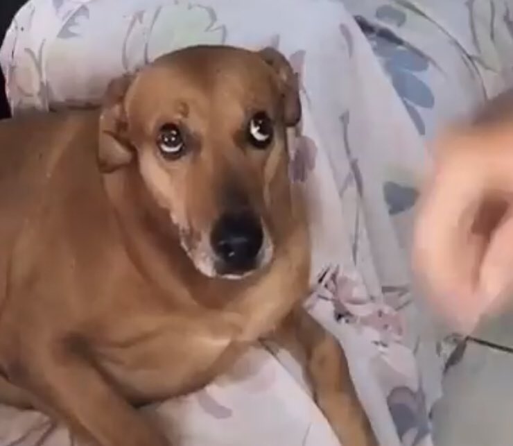 Crypto Camel - Web 3.0 Influencer tweet media