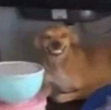 Crypto Camel - Web 3.0 Influencer tweet media