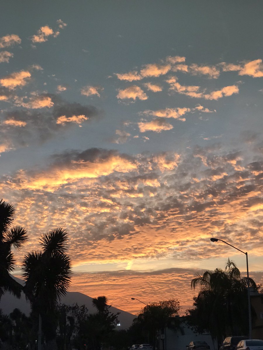 Imagínate…
El atardecer, tu y yo🤍