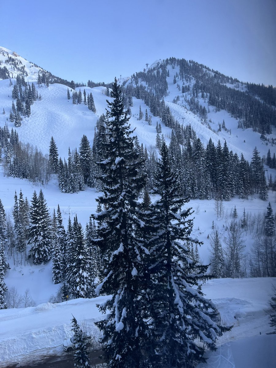 Kristen Pechacek tweet media