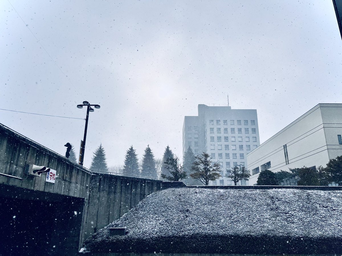 hachi_kokaido's tweet photo. 本日南郷ホールでは「悠久の調べTingTing（ティンティン）中国琵琶コンサート」が行われます！
当日券もございます。どうぞ足元にお気を付けてお越しください❄️ https://t.co/zICVL0s3Ad