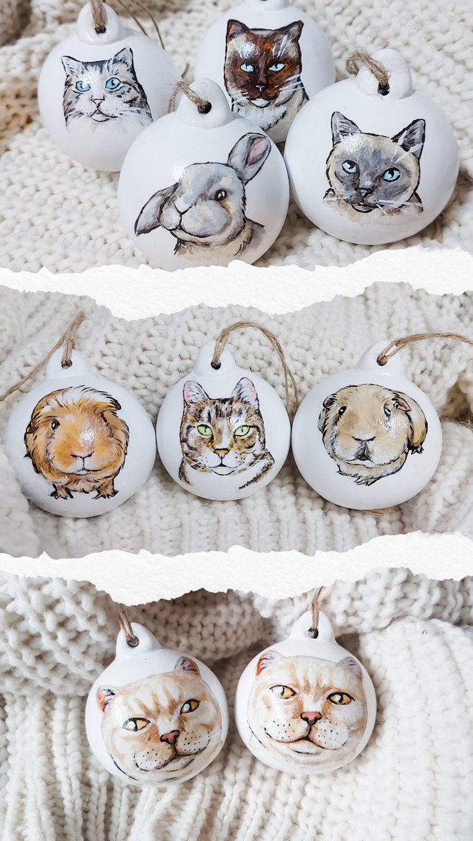 Pet portrait baubles are available to order all year round on my store ✨️

MILLIEMACDOUGALLART.ETSY.COM

#Art #Etsy #Artist #PetPortrait #Pets