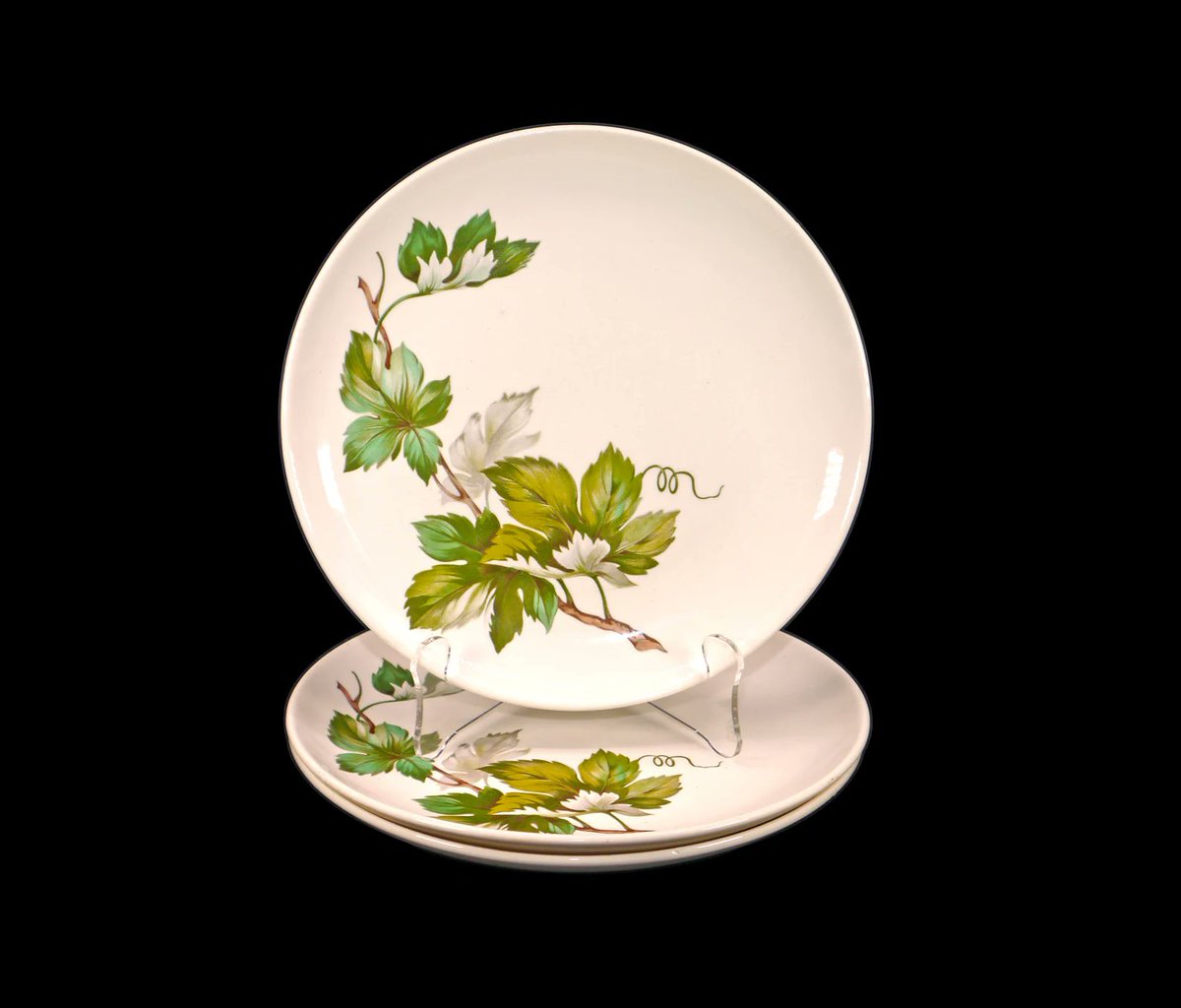 G97816960Girl's tweet photo. Three British Empire Ceramics | Edwin Knowles Grapevine luncheon plates made in USA. https://t.co/lAcQesJquA via @Etsy #BuyfromGroovy #antiqueshop #tableware #vintagetableware #luncheonplate #BritishEmpireCeramics #EdwinKnowles #Grapevine #KnowlesGrapevine #EtsySellers https://t.co/d1Iv4koe9k