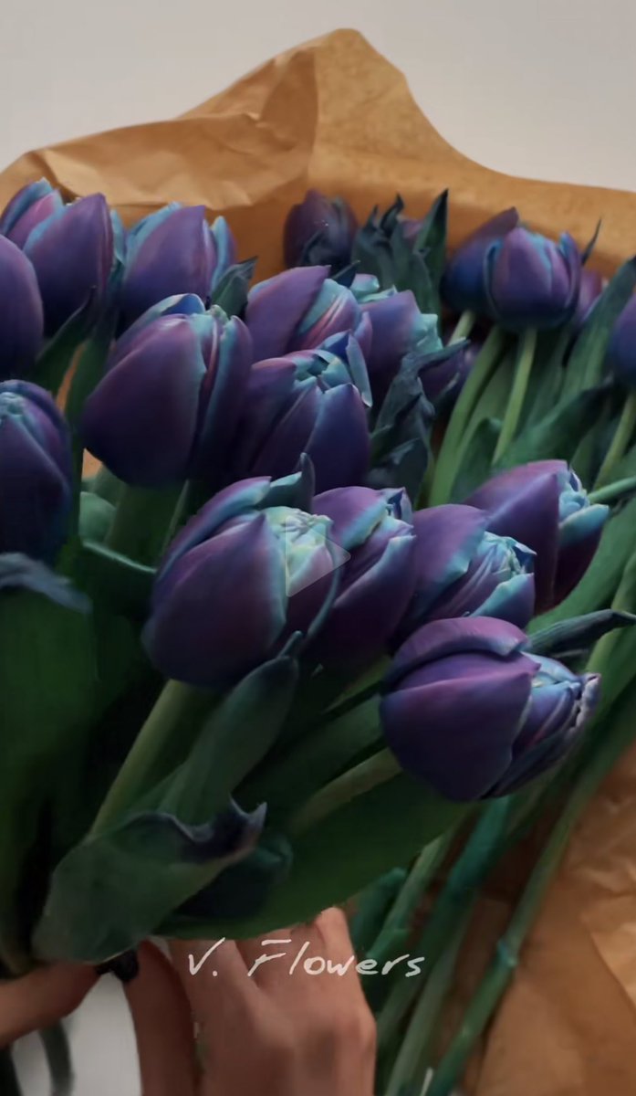 for my beautiful tulip <a href="/Loveroftulips_/">.</a>