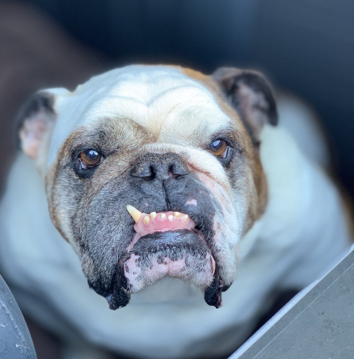 WALTER JONES tweet media