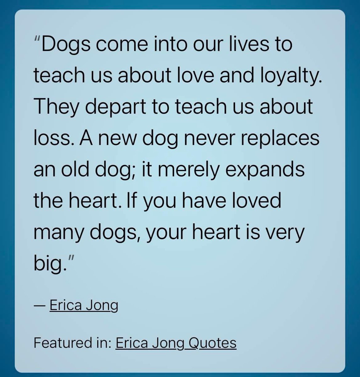 #dogslife #quotes #ericajong for my ❤️@GardenLauren