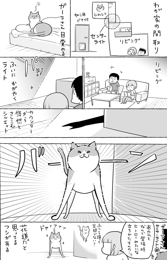 ガーラさんのランウェイ 