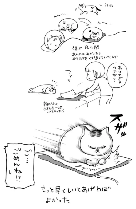 猫が保温器具の上を行ったり来たり 理由に「ご…ごめんね!?」 https://t.co/USTWq7K08X @grapeejpより 