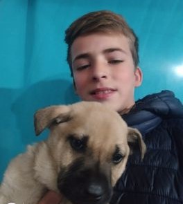 desaparecidaorg's tweet photo. #URGENTE >>>BÚSQUEDA EN TIEMPO REAL #MARDELPLATA 
Thiago Silvano Brizuela está desaparecido en Mar del Plata, Buenos Aires. Se hizo la denuncia. La familia pide ayuda para encontrarlo!🙏🙏🙏 Si lo ven avisar #Urgente a la mamá ☎️ 223-6693351, o al 911 

#BuenosAires https://t.co/NrhXaqeGQa