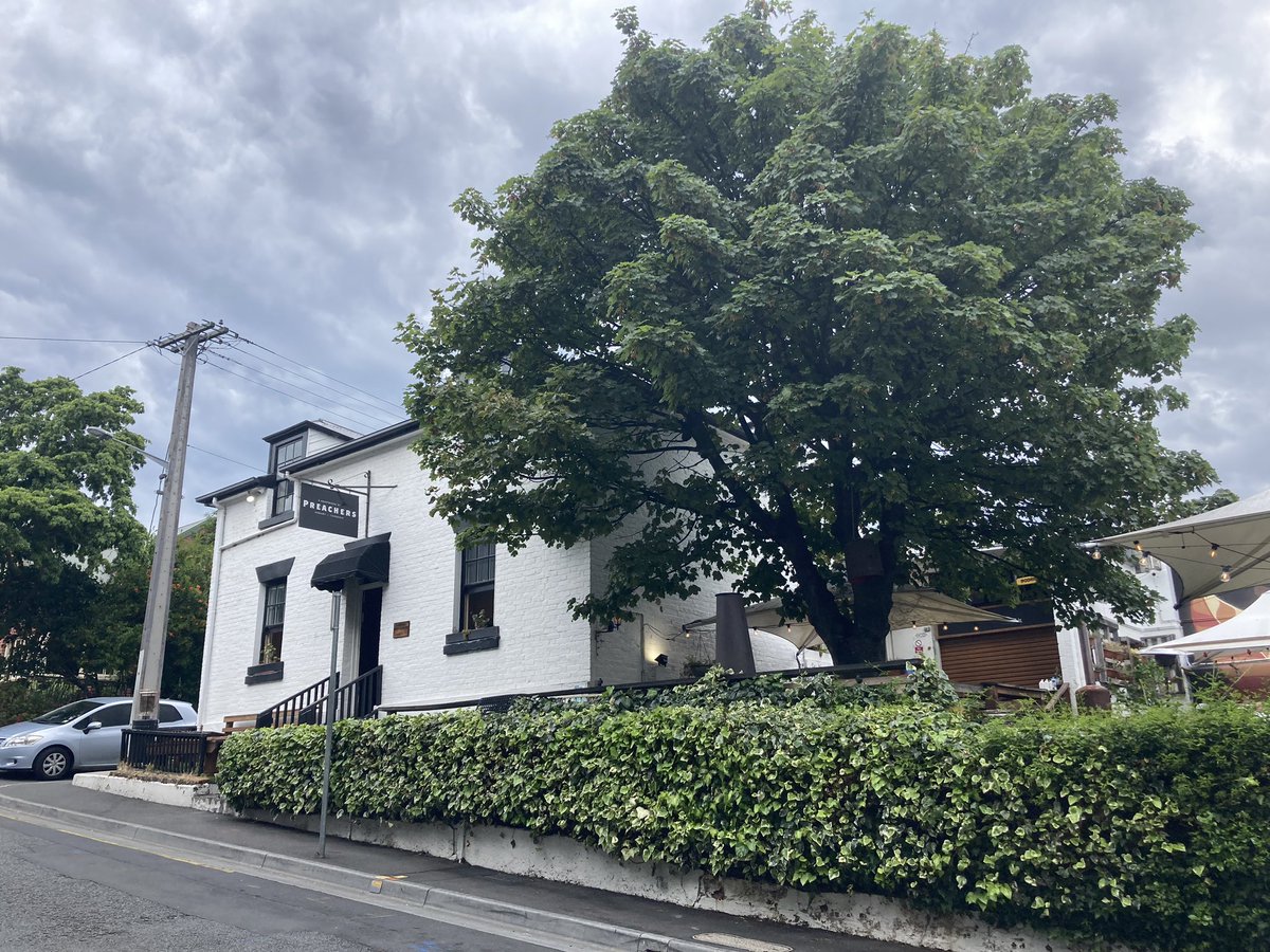 Pre-match beers in Hobart
#sydneyisskyblue 
#WUNvSYD