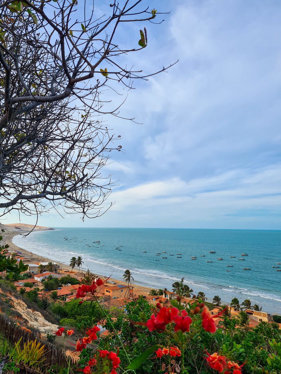 clicksdoguedes's tweet photo. Icapuí, Ceará.
#Foto #Fotografia #Icapui #Ceará #Photo #photography #Natureza #Nature #NaturePhotography #Praia #beach https://t.co/LK1avPYxSL
